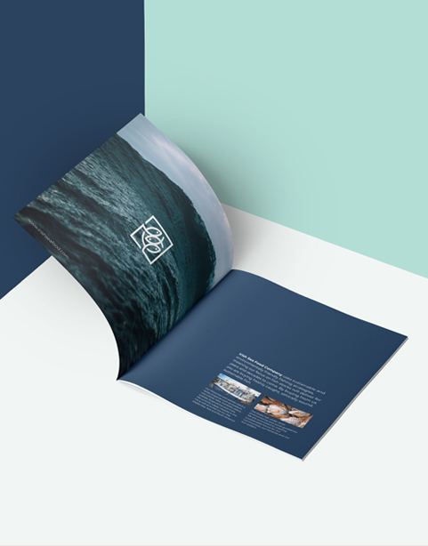 Irish Sea Food Company - Veeka design and marketing in Ilkley